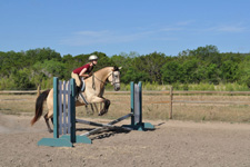 USA-Texas-Texas Equestrian Clinic